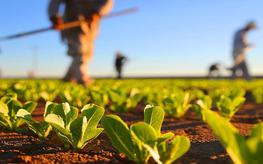 Agricultura